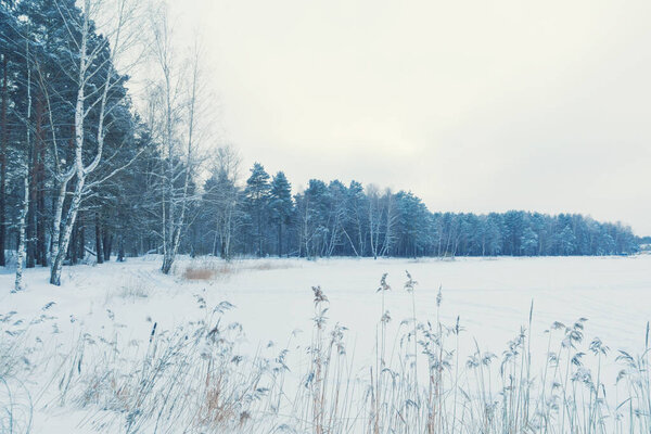 Красивый зимний пейзаж, озеро и лес
.