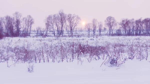 Hermoso paisaje de invierno en la luz mágica puesta del sol, naturaleza de invierno . — Foto de Stock