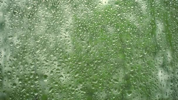 Il pleut sur la fenêtre. Des gouttes de pluie sur une fenêtre et des arbres verts devant la fenêtre. — Video