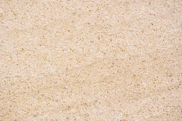 Bella alta dettagliata pietra di coquina beige. — Foto Stock