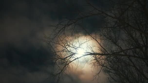 Lua cheia majestosa à meia-noite, lapso de tempo. Cenário escuro com árvores nuas. — Vídeo de Stock