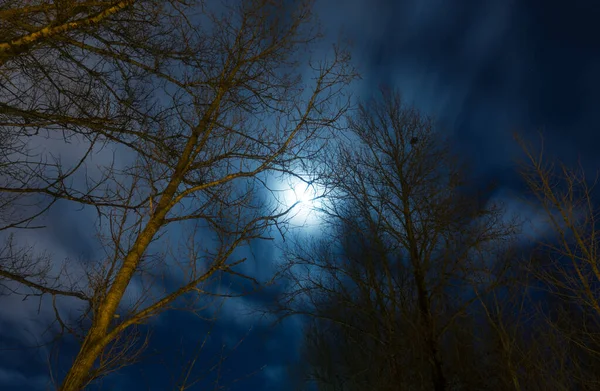 Majestueuse pleine lune à minuit, sombre paysage nocturne avec des arbres nus. — Photo