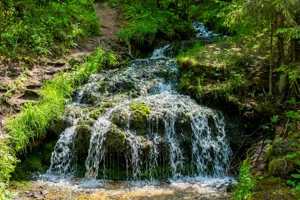 Stream Las Gremuchiy Ruchey Pomnik Przyrody Żukowski District Kaluzhskoy Region — Zdjęcie stockowe