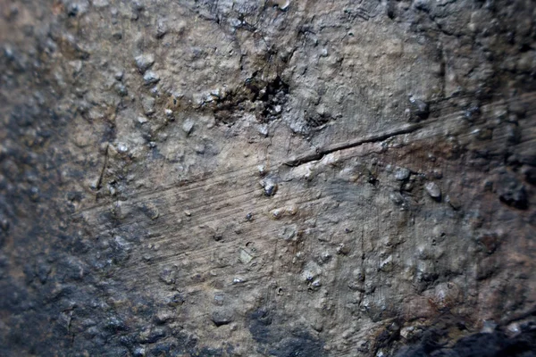 Antik arkeolojik kazılar ile erken Demir Çağı kültürünün Zarubintsy seramik kalıp. Doku portre