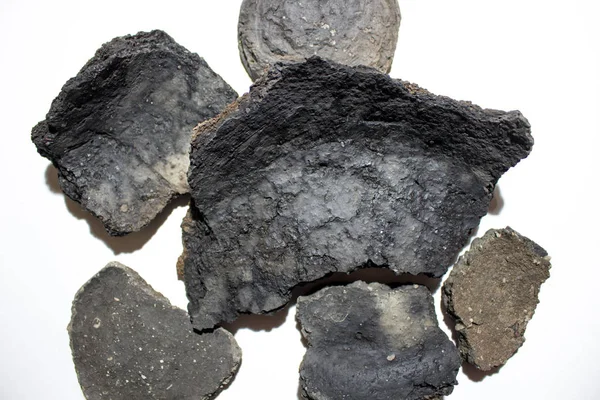 Antik arkeolojik kazılar ile erken Demir Çağı kültürünün Zarubintsy seramik kalıp