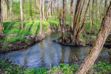 Küçük nehir Gorodyanka Maloyaroslavetsky bölgesinde, Kaluzhskiy region, Rusya Federasyonu