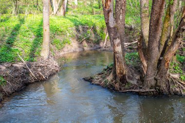 Küçük nehir Gorodyanka Maloyaroslavetsky bölgesinde, Kaluzhskiy region, Rusya Federasyonu