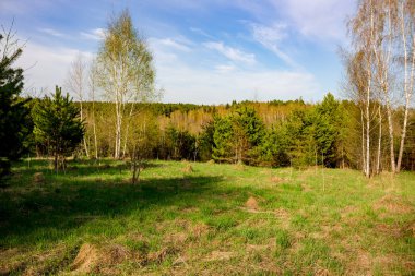 İlkbaharda bakire doğaya bakış, Kaluzhskaya bölgesi, Rusya