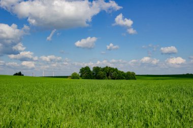Mayıs ayında yeşil tarım alanları