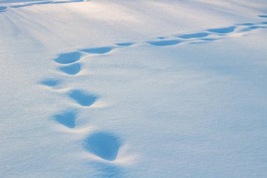 Karda fark ayak izleri
