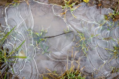 Bir buz kaplı su birikintisi