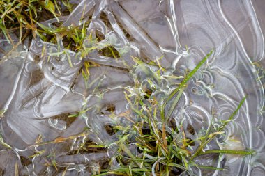 Bir buz kaplı su birikintisi