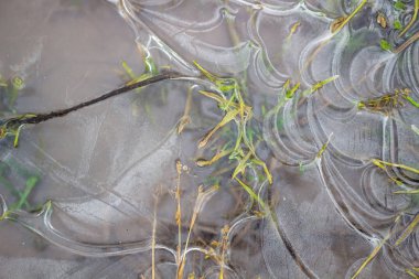 Bir buz kaplı su birikintisi