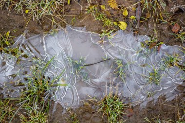 Bir buz kaplı su birikintisi