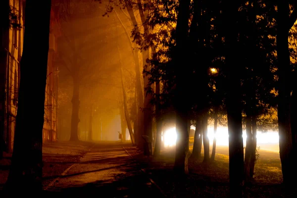 Beautiful Footpath Evening City Fog — Stock Photo, Image