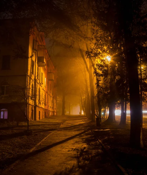 Uma Bela Trilha Noite Cidade Durante Nevoeiro — Fotografia de Stock