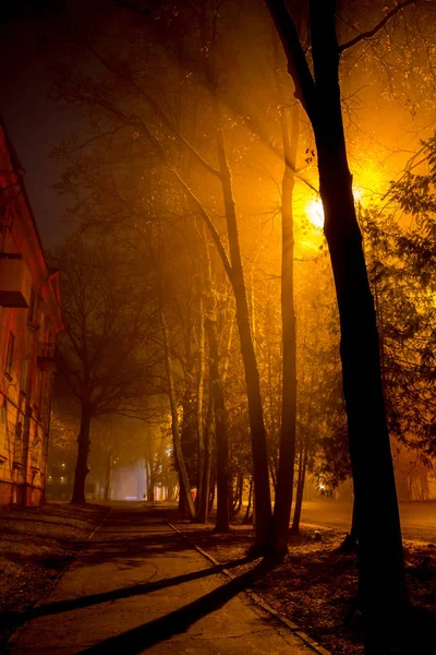 Beautiful Footpath Evening City Fog — Stock Photo, Image
