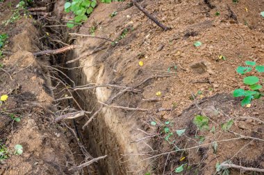 Hendek ormanda, fiber optik kablo kaplama