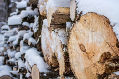 Duvar, yığılmış günlükleri ve dalları. Karda yakacak odun
