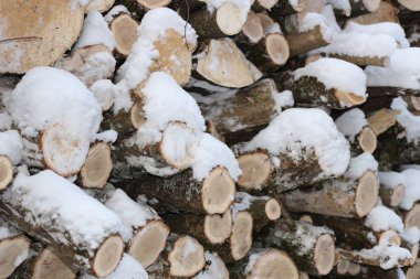 Duvar, yığılmış günlükleri ve dalları. Karda yakacak odun