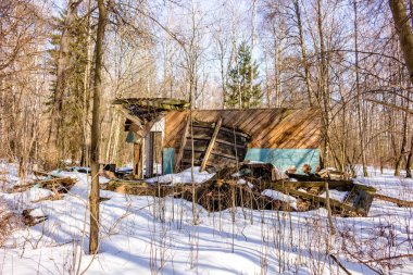 Ahşap yapı bir orman bölgesinde kışın yıkıldı. Eski öncü kampı Rusya