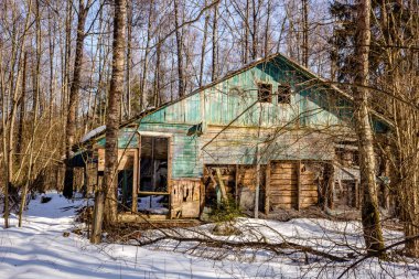 Ahşap yapı bir orman bölgesinde kışın yıkıldı. Eski öncü kampı Rusya