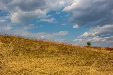 Erken baharda alanındaki kuru ot