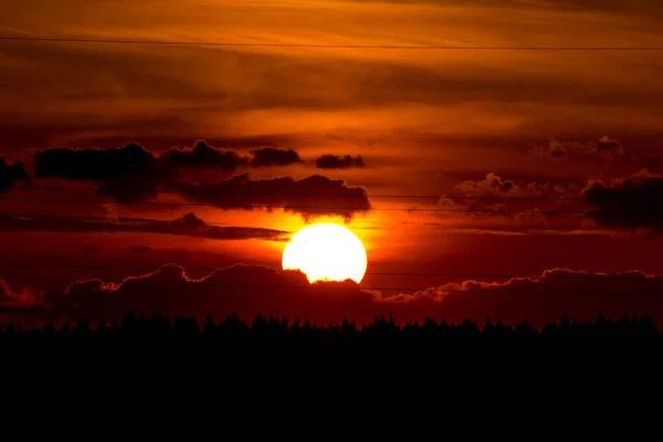 Φωτεινό Κόκκινο Ηλιοβασίλεμα Πάνω Από Δάσος — Φωτογραφία Αρχείου