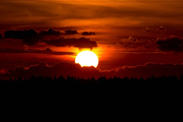 Φωτεινό Κόκκινο Ηλιοβασίλεμα Πάνω Από Δάσος — Φωτογραφία Αρχείου
