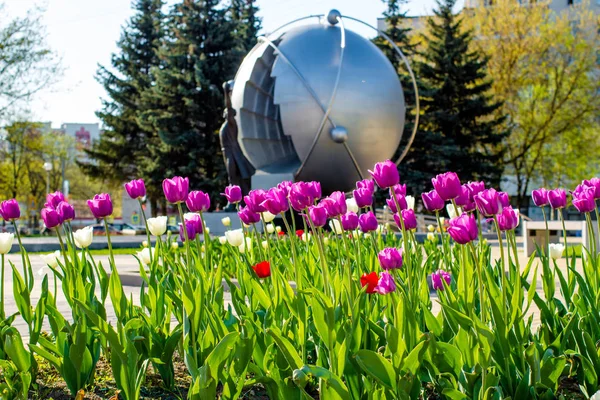 Pembe ve beyaz laleler için atom bilim adamları, Obninsk anıt arka planda parkta
