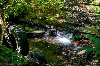 Lastik şeklinde çöp ile güzel creek