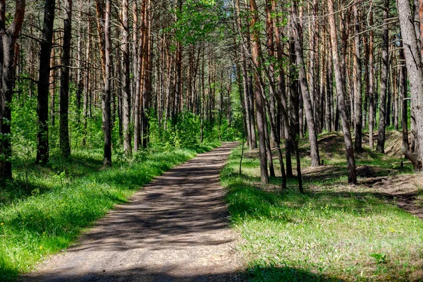 Güzel bir genç orman yoluyla kırsal yol