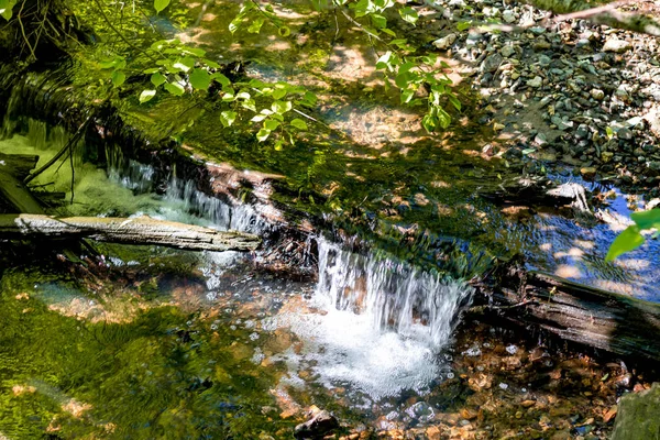 Bir yaz ormandaki küçük bir şelale ile güzel creek