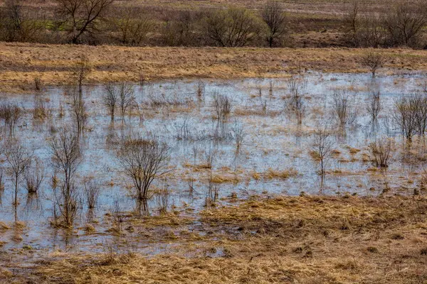 Planície Inundação Inundada Com Água Durante Primavera Água Alta — Fotografia de Stock
