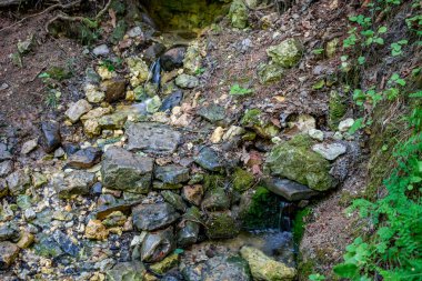 Kireç taşı katmanları Springs'te