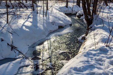 Bahar orman akarsu Repinka Mart öğleden sonra. OBNINSK, Rusya Federasyonu