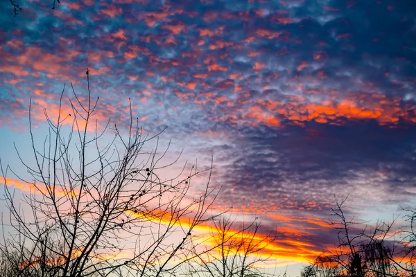 Hermosas Nubes Contra Cielo Azul Atardecer — Foto de Stock