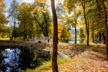 Belkino, Rusya - 8 Ekim 2017: Sonbahar öğleden sonra parkta Belkino bölgesi. Görünüm basamaklı göletler ve dekoratif bir köprü
