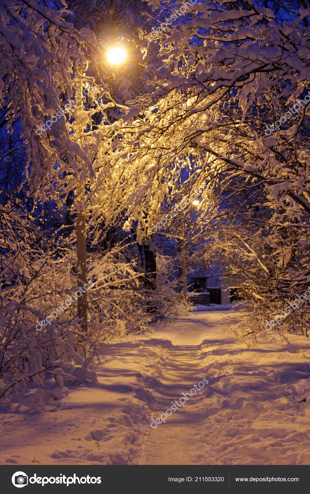 Beautiful View Path Forest Winter Snow Illuminated Street Lamp Stock Photo Image By C Photomost