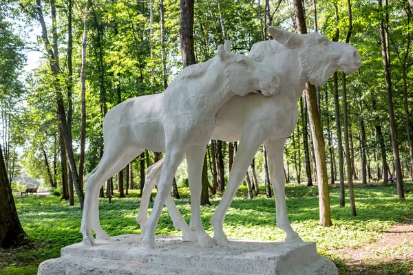 Naro Fominsk Oroszország 2017 Augusztus Központi Park Vorovsky Park Naro — Stock Fotó