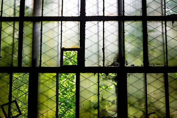 Vitres Cassées Dans Ancienne Usine — Photo