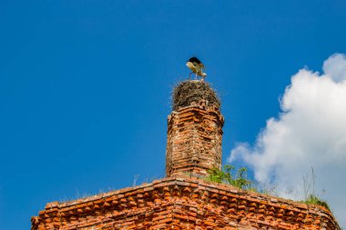Harabeler, terk edilmiş Kilisesi, St John Evangelist, Fedorovsky 18. yüzyılda. Çan kulesinin üzerinde leylek yuvası. Zhukovsky bölgesi, Kaluzhskiy bölgesi, selamlar