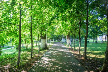 Eski park manor Belkino yaz günü. OBNINSK, Rusya Federasyonu