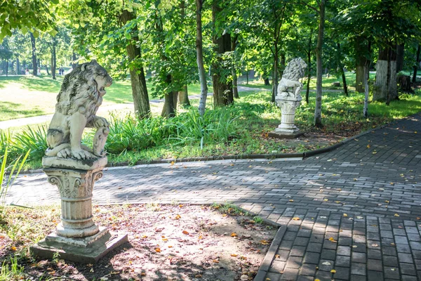 古い公園マナー Belkino 夏の日 オブニンスク ロシア — ストック写真