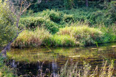 Nehir ISMA Borovsky bölgesinde, Kaluzhskiy Region, Rusya Federasyonu