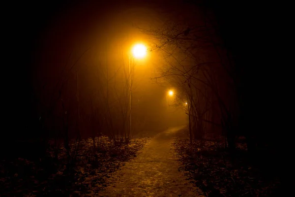 Стежка Густий Туман Вночі — стокове фото