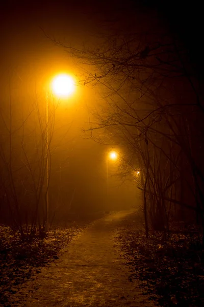 Sendero Una Densa Niebla Por Noche —  Fotos de Stock