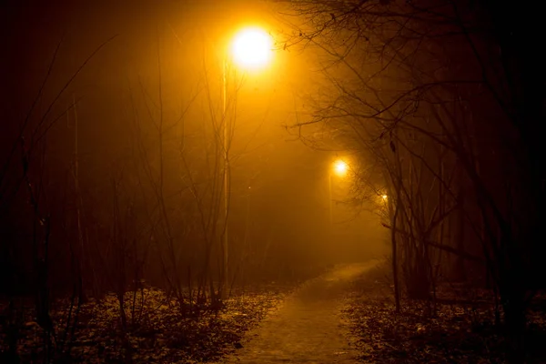 Ένα Μονοπάτι Και Μια Πυκνή Ομίχλη Βράδυ — Φωτογραφία Αρχείου