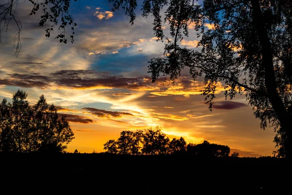 Hermosa Puesta Sol Brillante Con Nubes Verano Vista Través Los —  Fotos de Stock