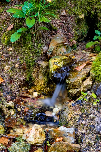 Manantial Barranco Forestal Golpeando Desde Debajo Las Rocas Barranco Dolginsky — Foto de Stock